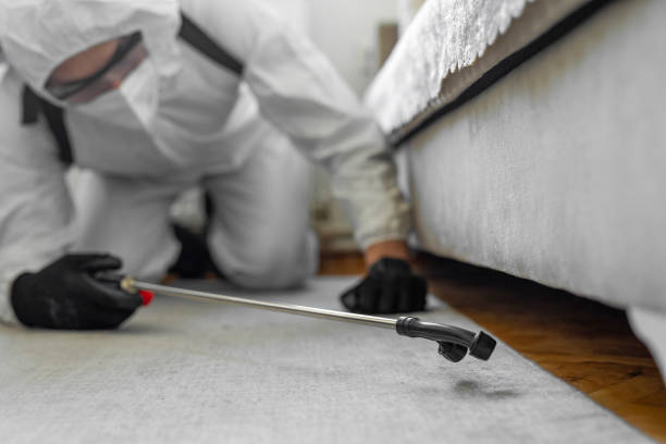 Professional Bed Bug Control technician working in Yorketown, NJ