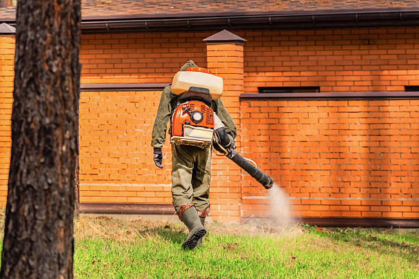 Trusted Emergency Pest Control service in Yorketown, NJ - Nex Pest Control
